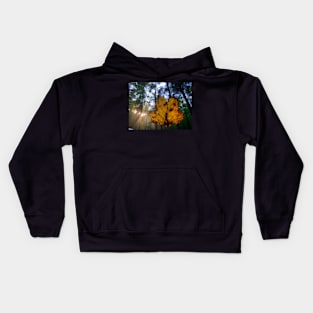 Leaf with the Trees Kids Hoodie